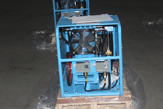 comprare Ripetitore medico del cilindro del compressore dell'ossigeno del diaframma senza olio di 100% fabbricazione online